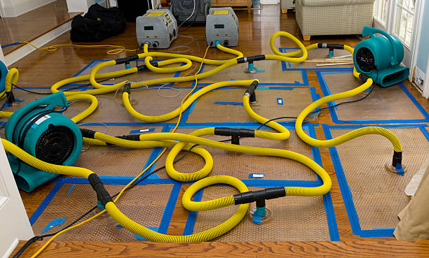 Professional Crawl Space Water Removal technician working in Olivet, NJ